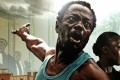 Cinéma / Fespaco : Sept (7) prix pour ‘’L’œil du cyclone’’ avec Assandé Fargass