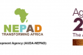 L’Agence de développement de l’Union Africaine – NEPAD (AUDA-NEPAD) a récompensé les champions de la jeunesse africaine pour #TheAfricaWeWant