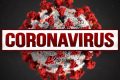 Coronavirus en Afrique… la catastrophe!