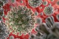 Le Coronavirus COVID-19 et nous : Entre aplaventrisme, amateurisme et mauvaise foi