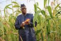 Sénégal – Macky SALL et l’agriculture : La sainte alliance