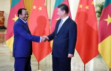 La Chine : ami stratégique du développement Cameroun dans sa nouvelle politique de coopération sino-africaine